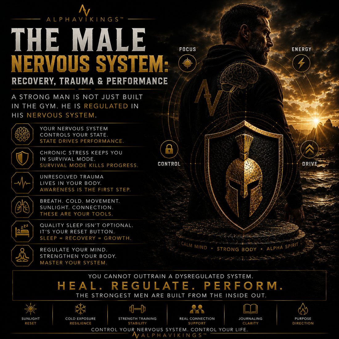 The Male Nervous System: Recovery, Trauma & Performance