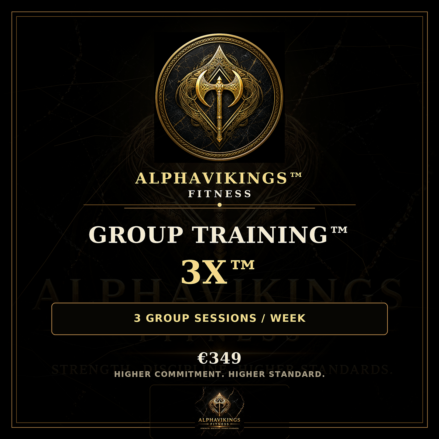ALPHAVIKINGS™ | GROUP TRAINING™ 3X™ — 3 Group Sessions / Week